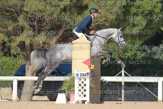 ROTA_DAVID_GIO CAV 2011_SS3_6485.jpg